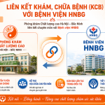 kn kn